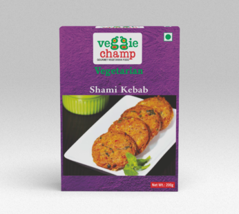 Veg Shami Kebab